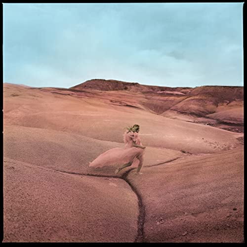 Strays (LP)