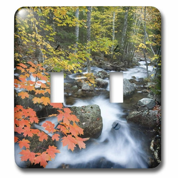 3dRose, Stream, Acadia National Park, Maple forest - US20 JMO0620 - Jerry and Marcy Monkman, double toggle switch
