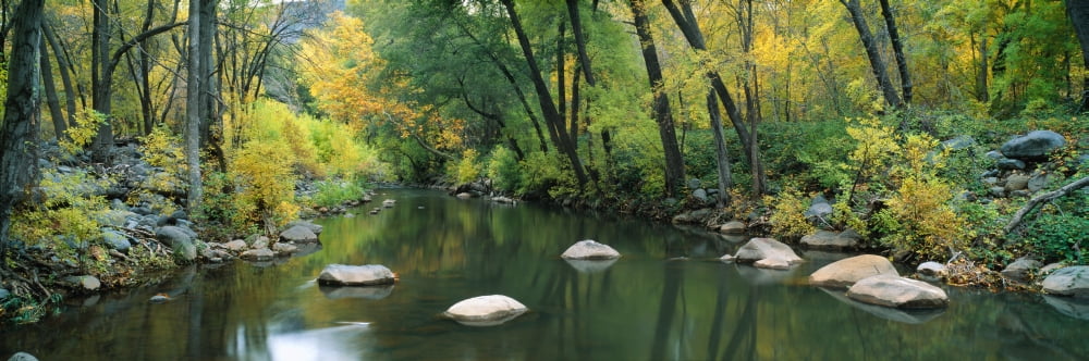 Stream Cottonwood Canyon AZ Canvas Art - Panoramic Images (36 x 12)