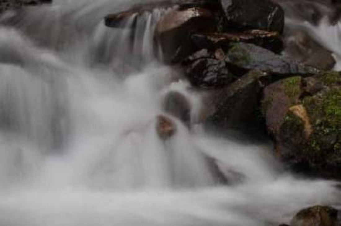Stream Falls I Canvas Art - Logan Thomas (20 x 28)