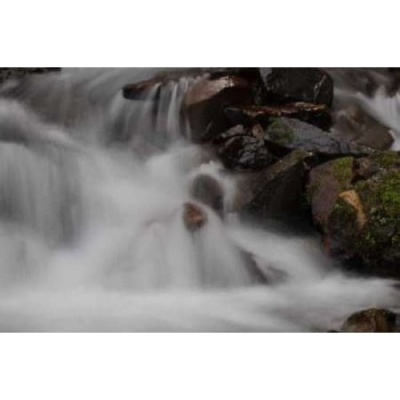 Stream Falls I Canvas Art - Logan Thomas (20 x 28)