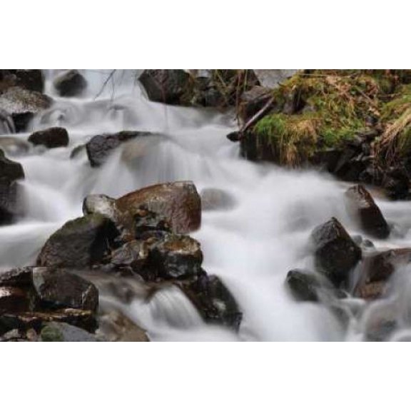 Stream Falls II Canvas Art - Logan Thomas (12 x 18)