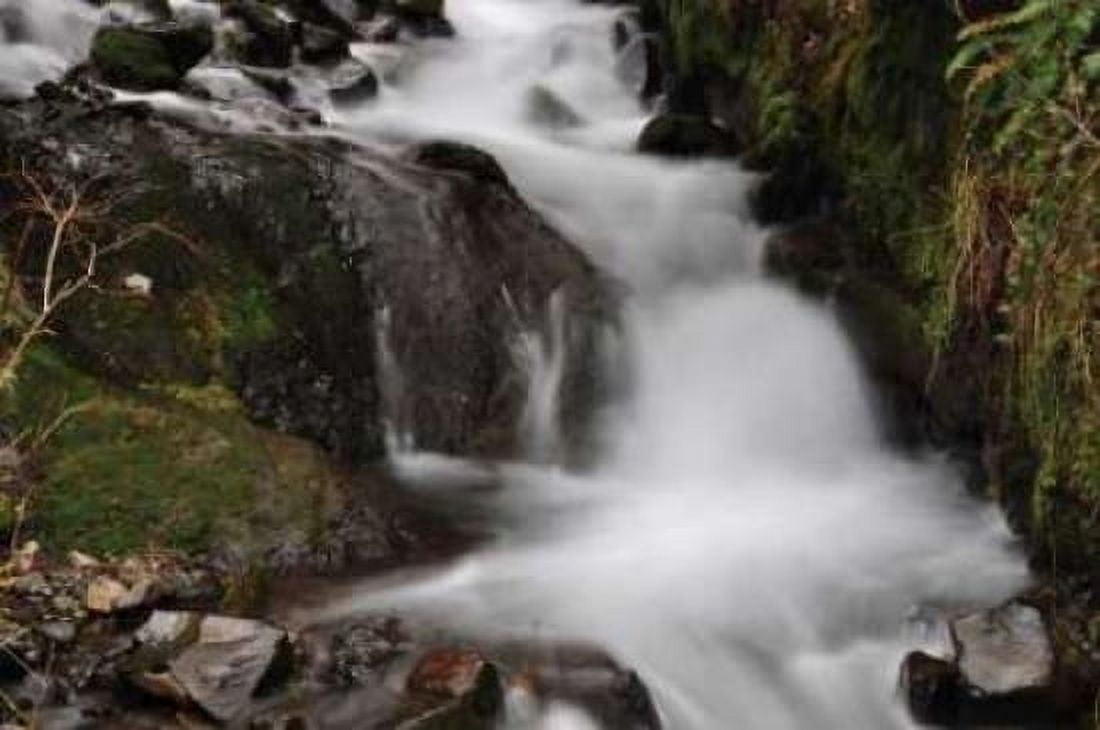 Stream Falls III Canvas Art - Logan Thomas (20 x 28)