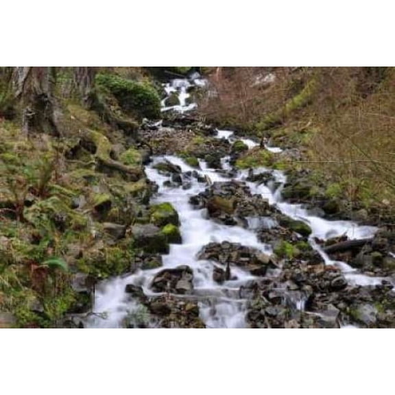 Stream Falls VI Canvas Art - Logan Thomas (20 x 28)