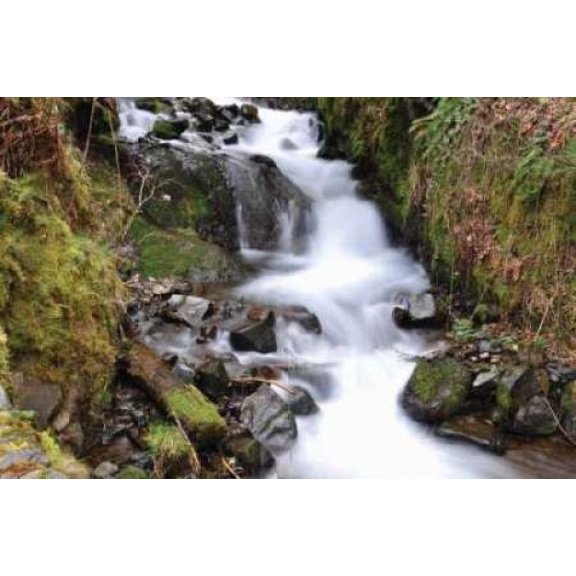 Stream Falls VII Canvas Art - Logan Thomas (12 x 18)