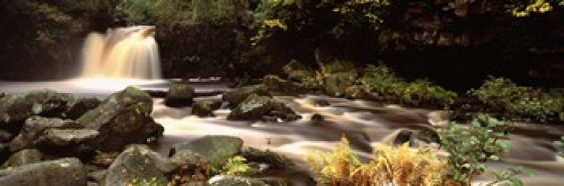 Stream Flowing Through Rocks Thomason Foss Goathland North Yorkshire England United Kingdom Canvas Art - Panoramic Images (18 x 6)