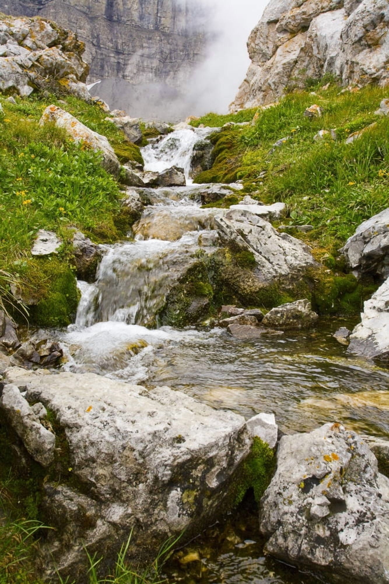 Stream In Kananaskis Alberta Canada Canvas Art - Curtis Round Design Pics (22 x 34)