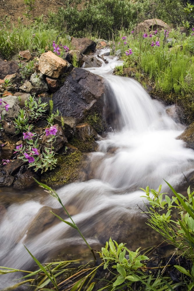 Stream Near Eielson Visitor Center Denali National Park Alaska Canvas Art - Jeff Schultz Design Pics (11 x 17)