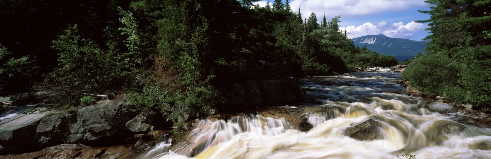 Stream flowing through a forest Little Niagara Falls Nesowadnehunk Stream Baxter State Park Piscataquis County Maine USA Canvas Art - Panoramic Images (6 x 18)