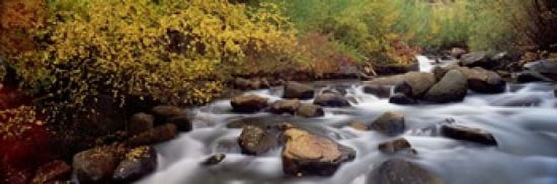 Stream flowing through a forest Inyo County California USA Canvas Art - Panoramic Images (18 x 6)