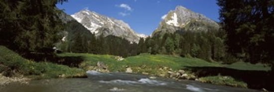 Stream flowing through a forest Mt Santis Mt Altmann Appenzell Alps St Gallen Canton Switzerland Canvas Art - Panoramic Images (36 x 12)