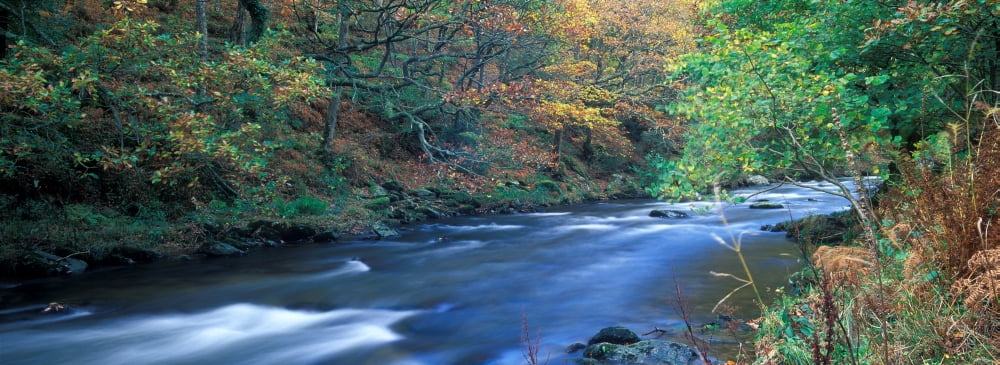 Stream flowing through a forest Watersmeet Exmoor Devon England Canvas Art - Panoramic Images (36 x 12)