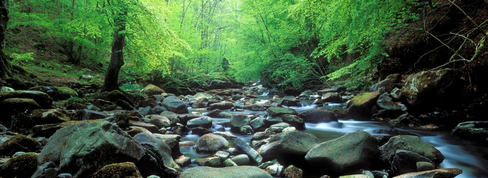 Stream flowing through rocks Aberfeldy Perthshire Scotland Canvas Art - Panoramic Images (27 x 9)
