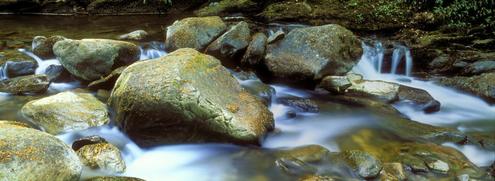 Stream flowing through rocks Aberfeldy Perthshire Scotland Canvas Art - Panoramic Images (36 x 12)