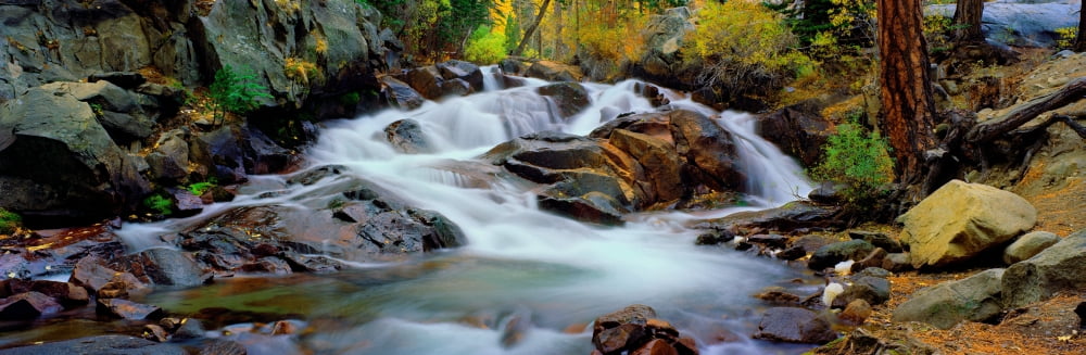 Stream flowing through rocks Lee Vining Creek Lee Vining Mono County California USA Canvas Art - Panoramic Images (36 x 12)