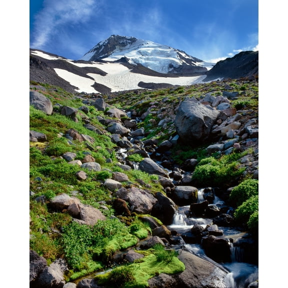Stream flowing through rocks  Mt Hood  Mt Hood Wilderness  Mt Hood National Forest  Hood River County  Oregon  USA Print