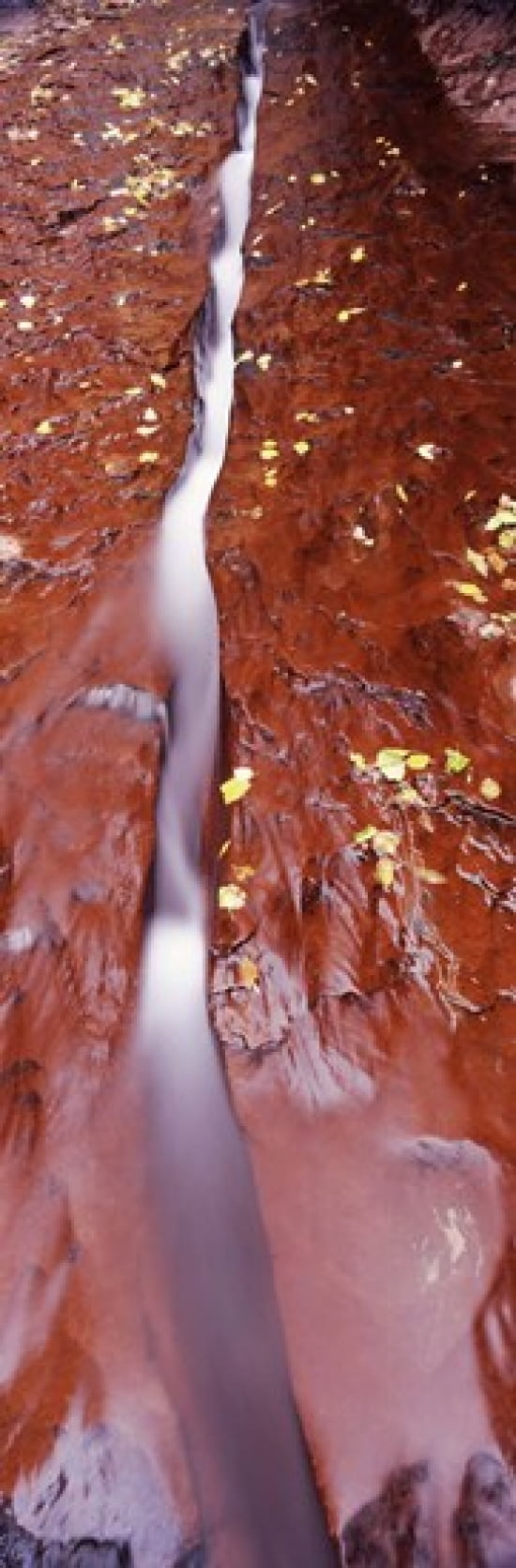 Stream flowing through rocks North Creek Zion National Park Utah USA Canvas Art - Panoramic Images (36 x 12)