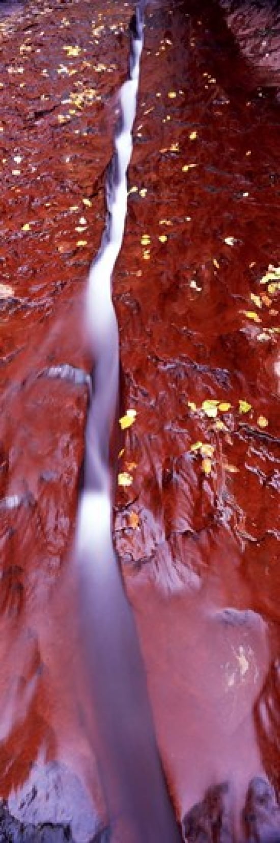 Stream flowing through rocks North Creek Zion National Park Utah USA Canvas Art - Panoramic Images (36 x 12)