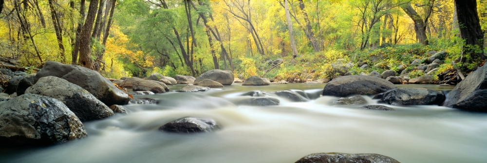 Stream in Cottonwood Canyon Sedona Arizona Canvas Art - Panoramic Images (27 x 9)