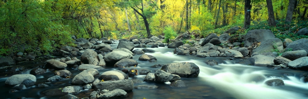 Stream in Cottonwood Canyon Sedona Arizona Canvas Art - Panoramic Images (36 x 12)
