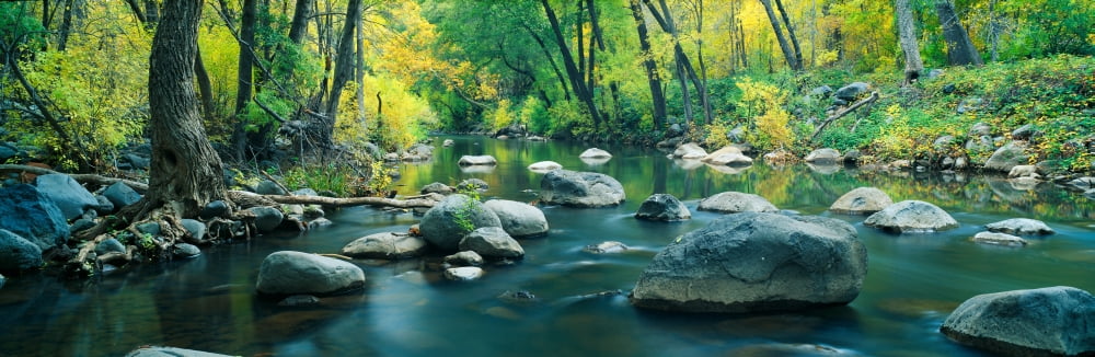 Stream in Cottonwood Canyon Sedona Arizona Canvas Art - Panoramic Images (36 x 12)