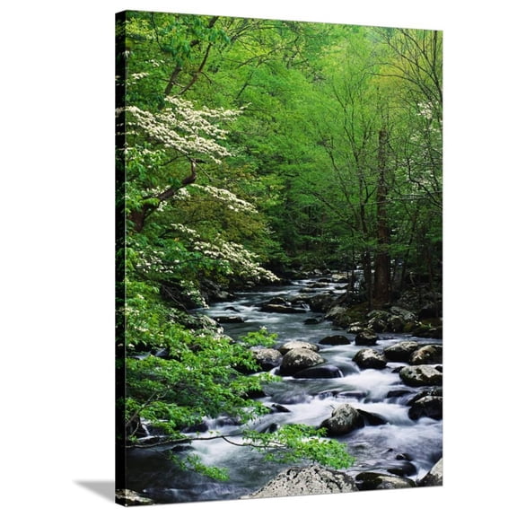 Stream in Lush Forest, Scenic Stretched Canvas Wall Art by Ron Watts Sold by ArtCom