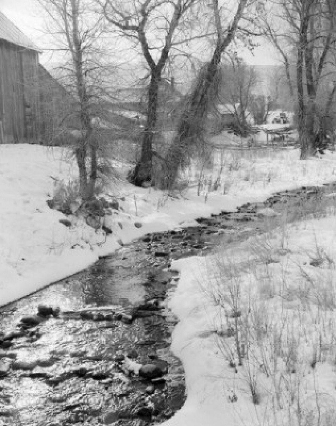 Stream in winter Canvas Art - (24 x 36)