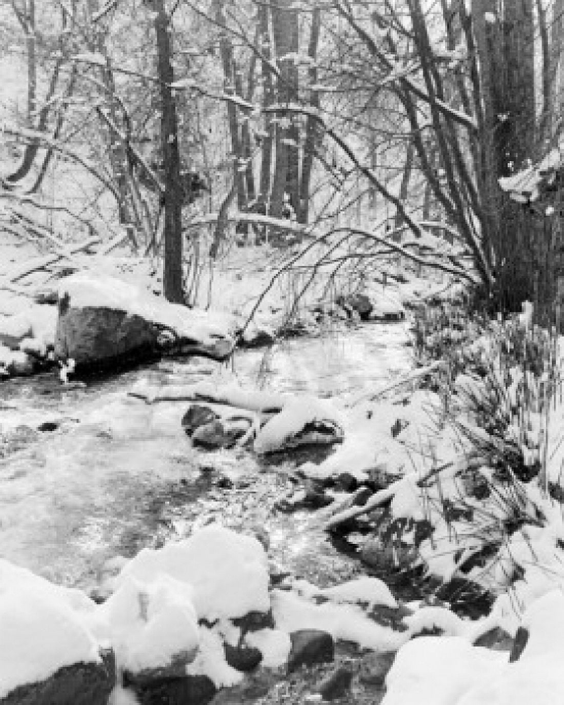 Stream in winter Canvas Art - (24 x 36)