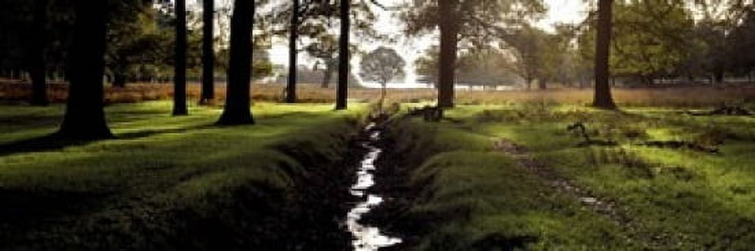 Stream passing through a park Richmond Park London England Canvas Art - Panoramic Images (18 x 6)