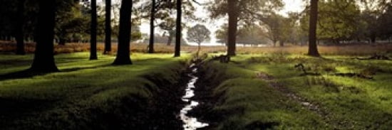 Stream passing through a park Richmond Park London England Canvas Art - Panoramic Images (36 x 12)