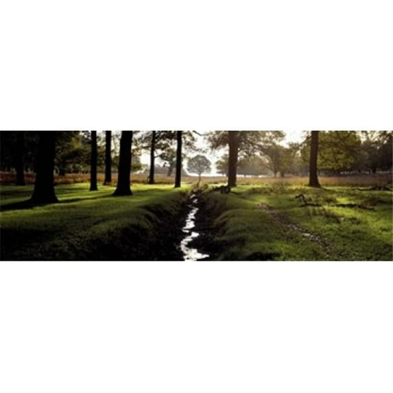 Stream passing through a park Richmond Park London England Poster Print by - 36 x 12