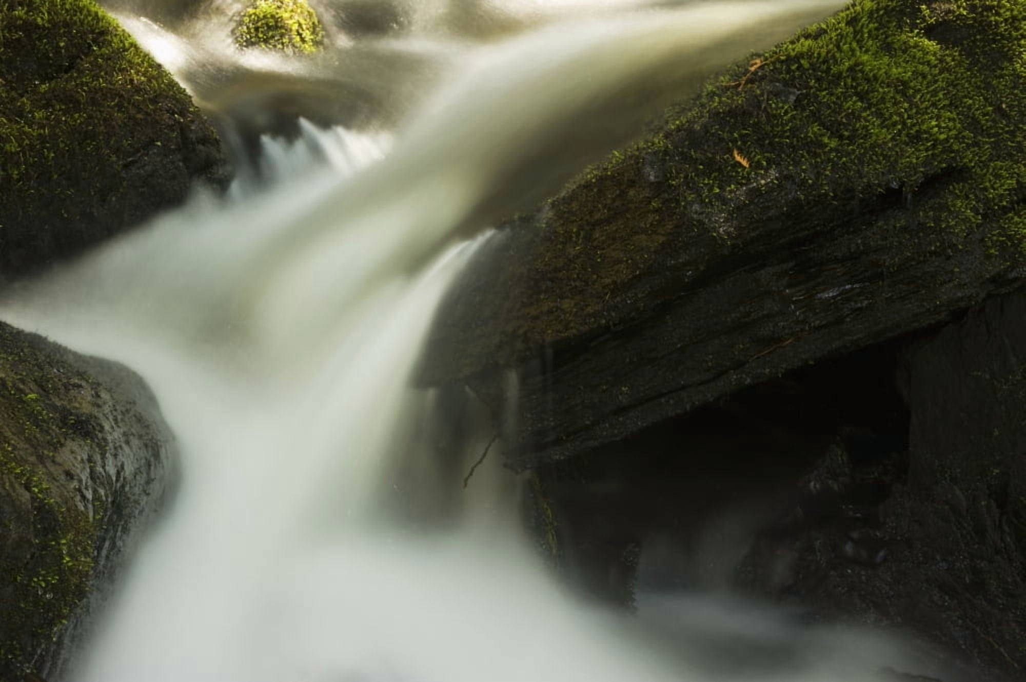 Stream water rushing down a mossy rock waterfall Ontario Canada Canvas Art - James Smedley Design Pics (19 x 12)