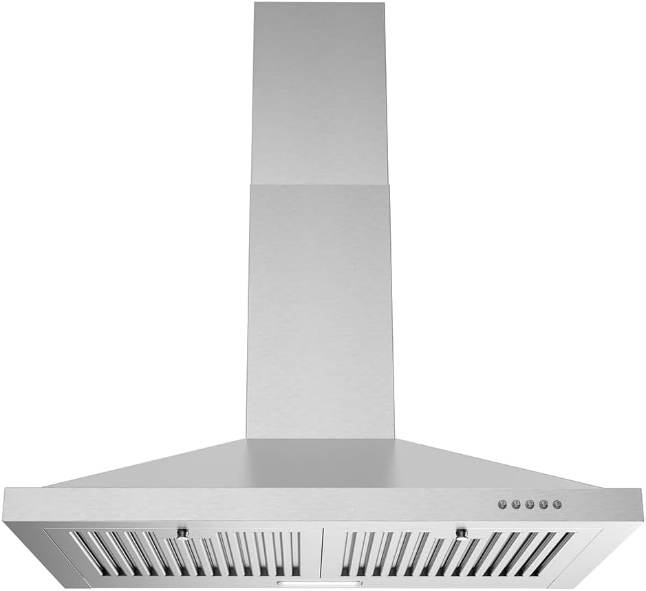 Streamline 30-Inch Stainless Steel Wall Mounted Range Hood with Charcoal Filter