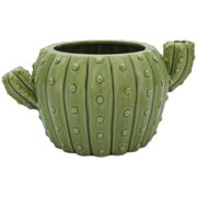 Streamline Imagined Cactus Planter