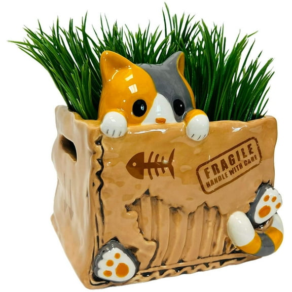 Streamline Imagined Cat In The Box Planter Pot