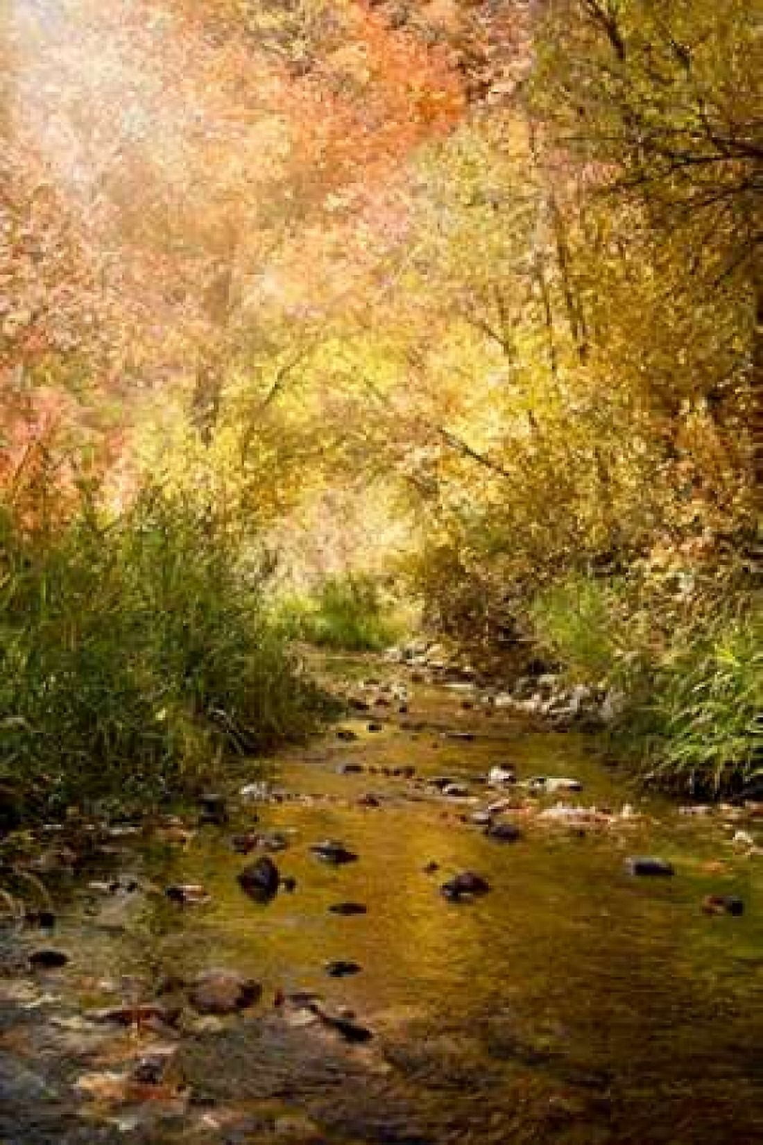 Streams of Light II Canvas Art - Ramona Murdock (12 x 18)