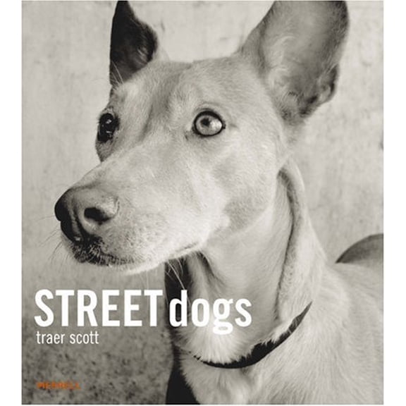 Pre-Owned Street Dogs (Hardcover) 1858944082 9781858944081