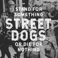 thumbnail image 1 of Street Dogs - Stand For Something Or Die For Nothing - Rock - CD, 1 of 1