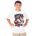 thumbnail image 1 of Street Fighter Natural Born Legend Crewneck T Shirts Boy Girl Teen Brisco Brands XS, 1 of 6