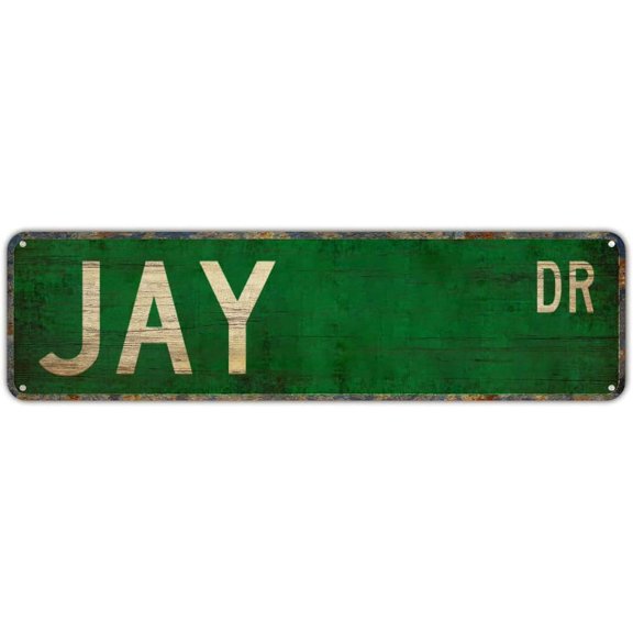 Street Sign Jay Jay Gift Jay Sign Jay Decor Jay Lover Crow Family Street Sign Rustic Metal Tin Sign Home Outdoor Art Wall Decor 4x16 Inch
