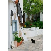 Street View with Black Cat, Manolates, Samos, Aegean Islands, Greece Poster Print by Walter Bibikow 24 x 36