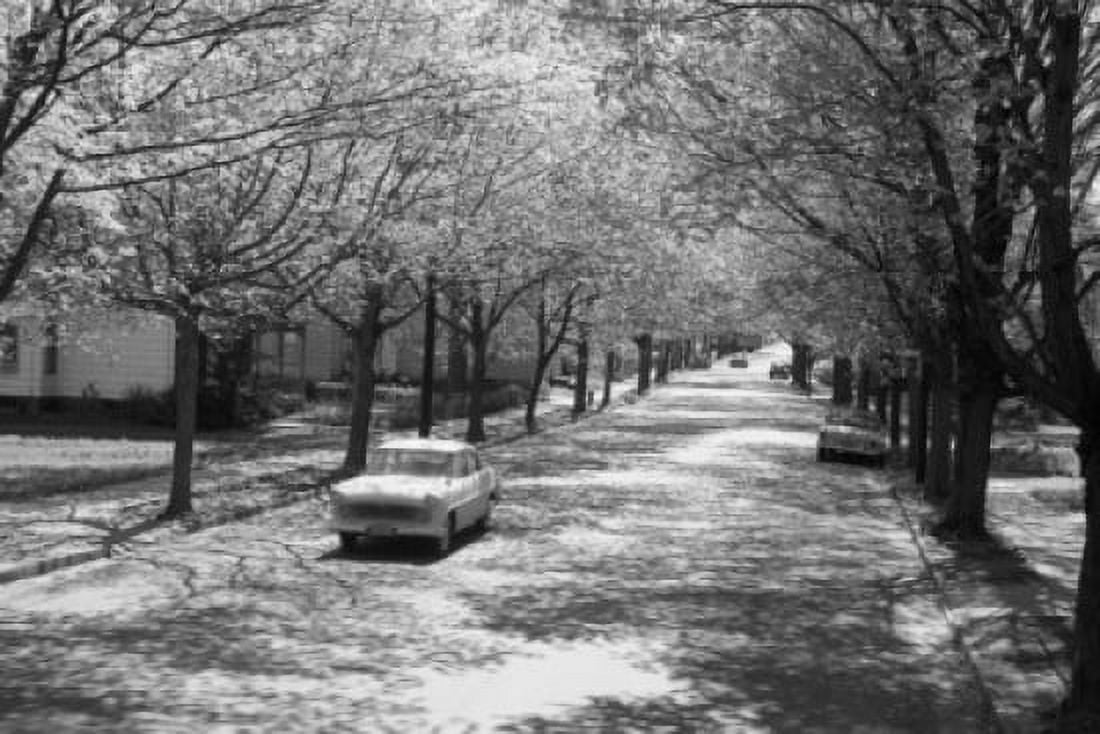 Street in residential quarter Canvas Art - (18 x 24)