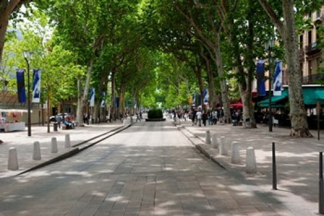 Street scene Cours Mirabeau Aix-En-Provence Bouches-Du-Rhone Provence-Alpes-Cote dAzur France Canvas Art - Panoramic Images (36 x 24)