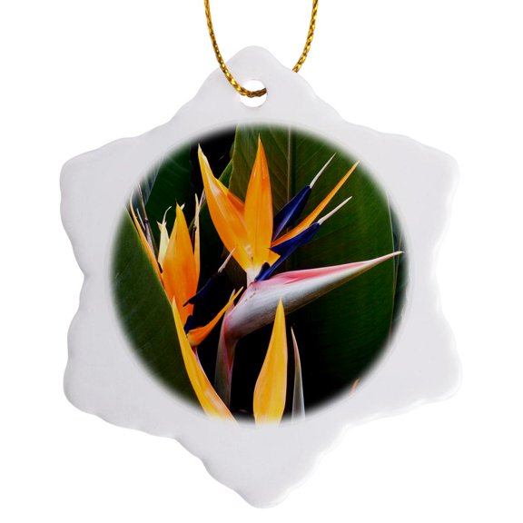 3drose, Strelitzia Flower, 3 inch Snowflake Porcelain Ornament