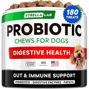 Bernie's Perfect Poop Ultimate Digestive Health Supplement for Dogs ...