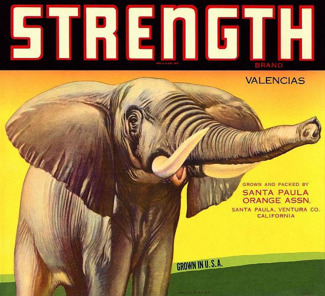 Strength Brand Valencias Elephant Label poste Canvas Art -  (18 x 24)