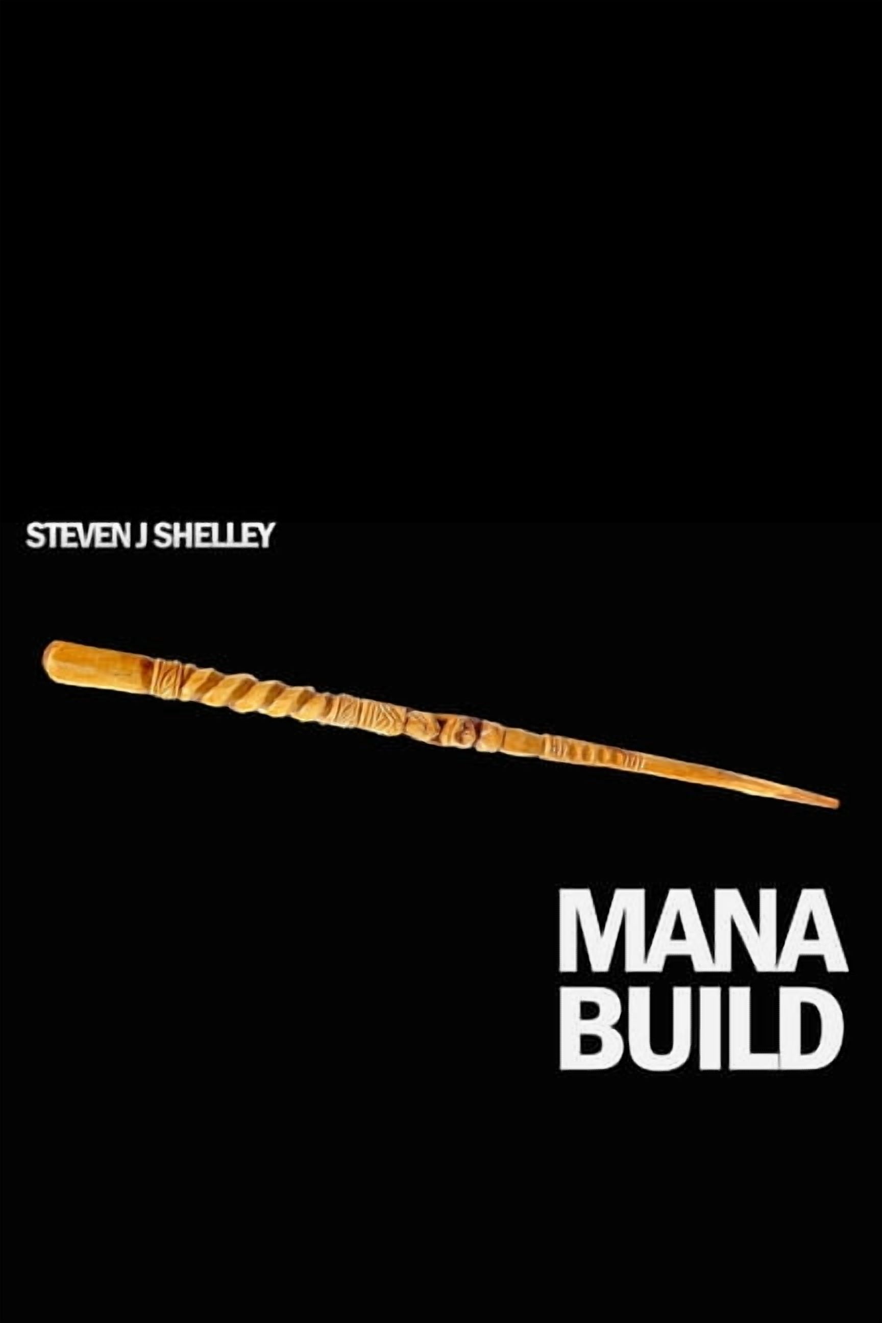 Strength Build Mana Build, Book 3, (Paperback)