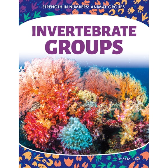 Strength in Numbers: Animal Groups Invertebrate Groups, (Hardcover)