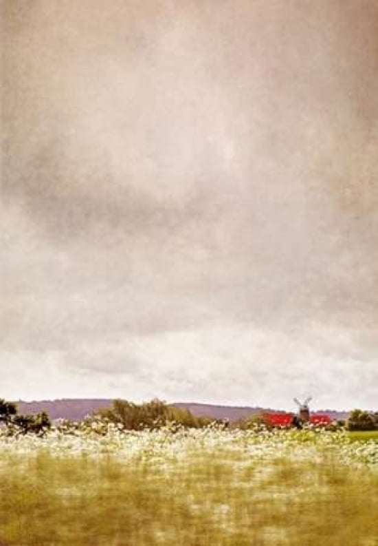 Strength of the Wind Canvas Art - Sarah Gardner (20 x 28)