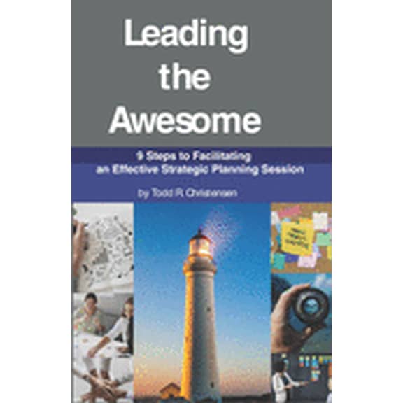 Stress Less Strategy: Leading the Awesome: 9 Steps to Facilitating an Effective Strategic Planning Session (Paperback)
